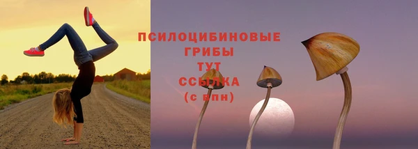 ALPHA-PVP Горняк