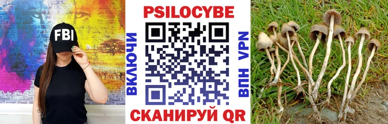 Псилоцибиновые грибы MAGIC MUSHROOMS  Пермь 