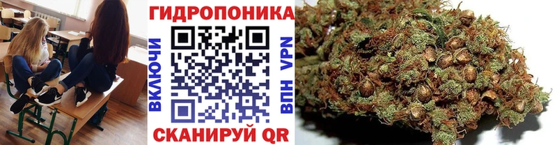 цены наркотик  Пермь  Канабис планчик 